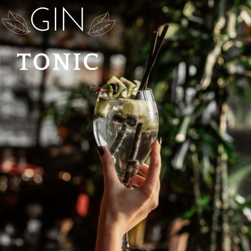 Cómo preparar un gin tonic perfecto