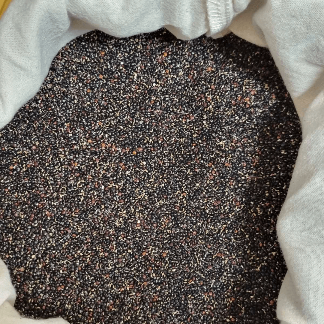 Quinoa negra eco - 100 g aprox.