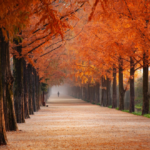 Otoño