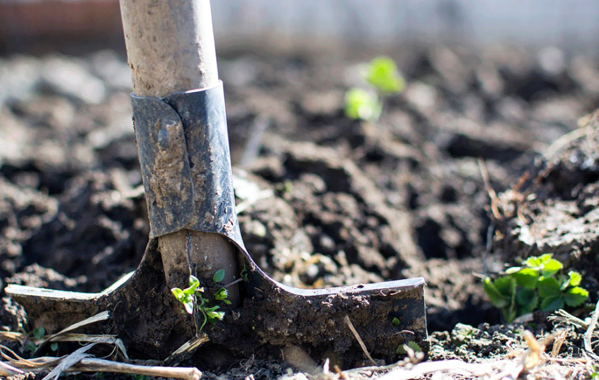 pala-cavando pala-cavando