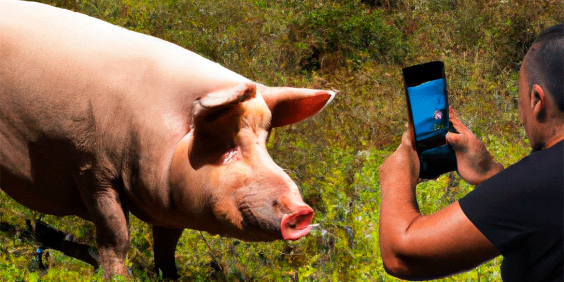 foto-cerdo