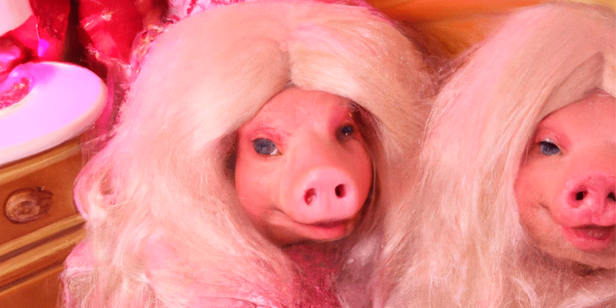 cerdo-barbie