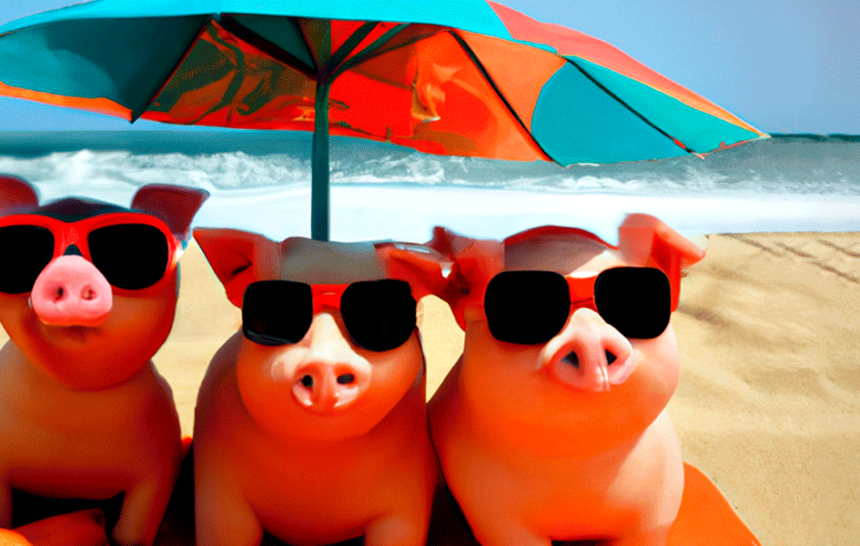 cerdos-playa cerdos-playa