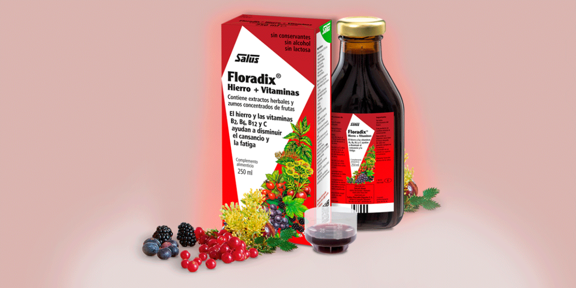 Floradix hierro + vitaminas Salus