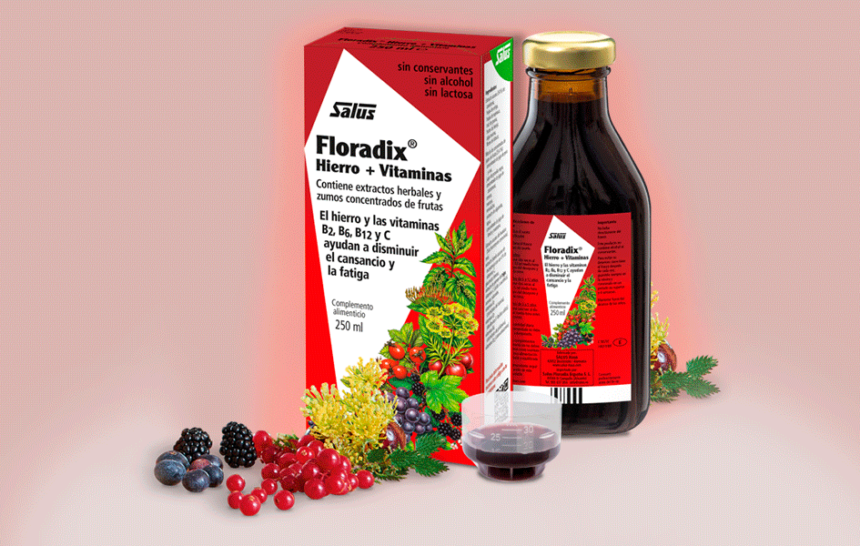floradix-hierro-vitaminas-salus-500-ml Floradix hierro + vitaminas Salus