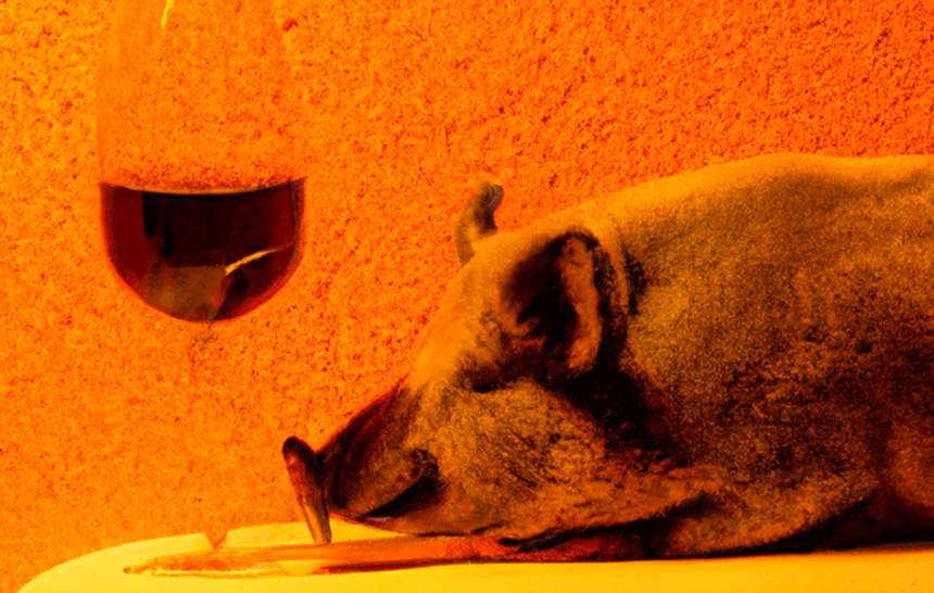 cerdo-vino cerdo-vino