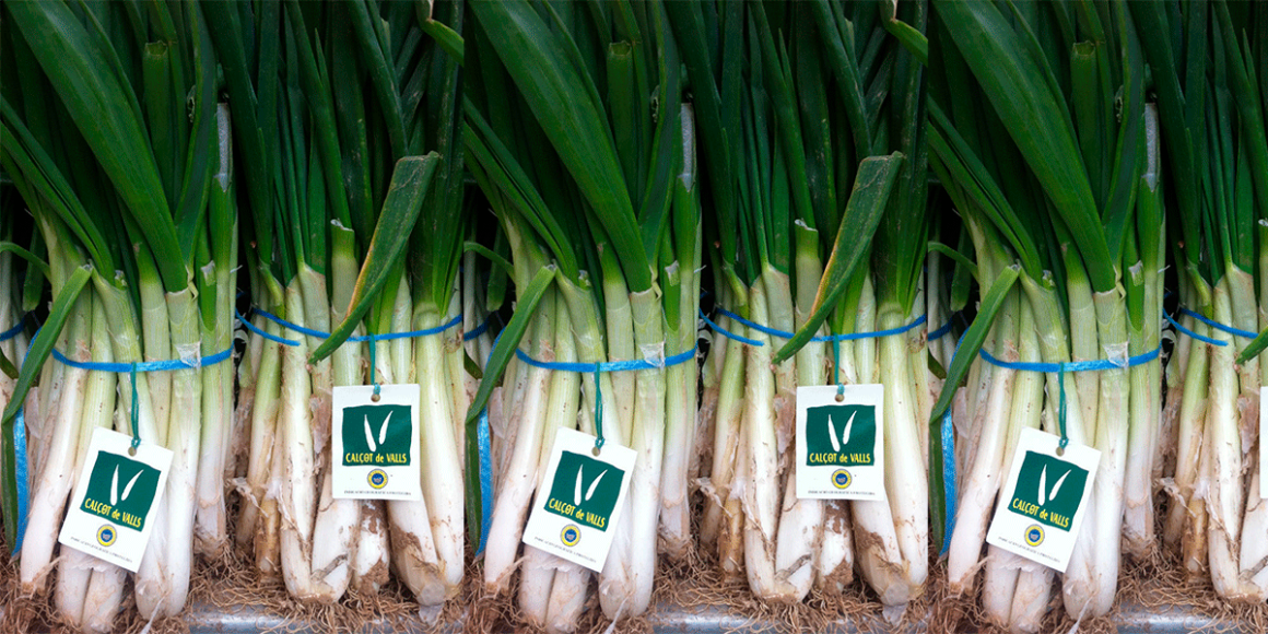 Calçots portada