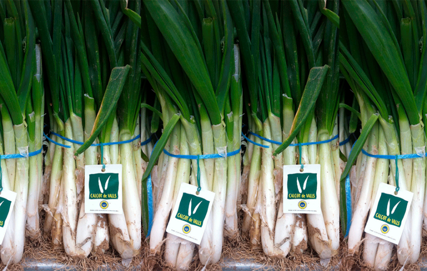 calcots-portada Calçots portada