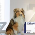 Synoquin Razas Medianas 120 Comp