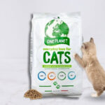 Ami Cat 7,5 kg. Comprar más barato. Oferta