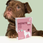Hepatosil Plus 30 comprimidos. Comprar más barato. Oferta