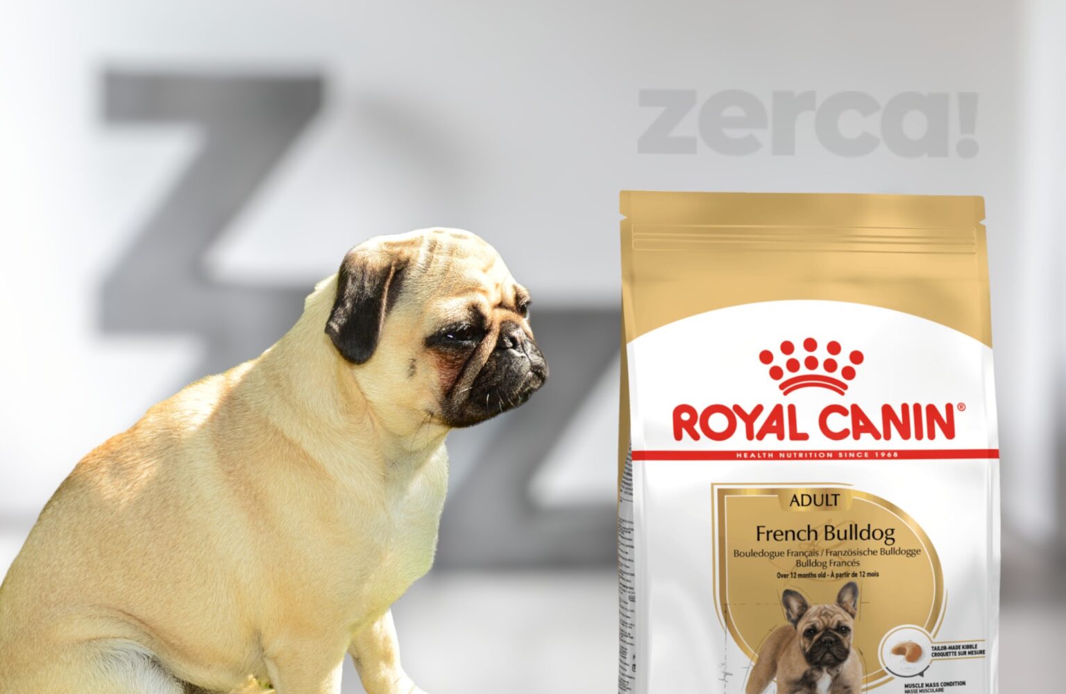 Pienso Royal Canin Bulldog Francés Adulto
