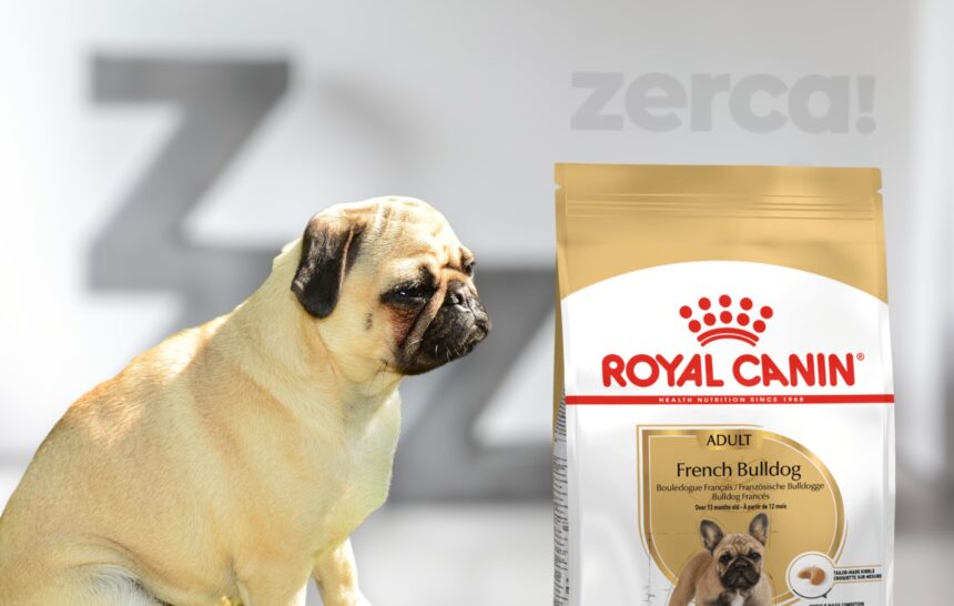 Pienso Royal Canin Bulldog Francés Pienso Royal Canin Bulldog Francés Adulto