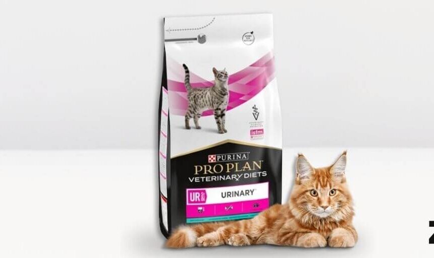 Purina Pro Plan Veterinary Diet Feline Urinary. Oferta Purina Pro Plan Veterinary Diet Feline Urinary UR 5 kg. Comprar más barato. Oferta