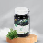 Ferment Slim Probioticos San. Comprar más barato Oferta
