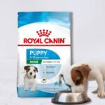 Royal Canin Mini puppy. Comprar más barato. Oferta