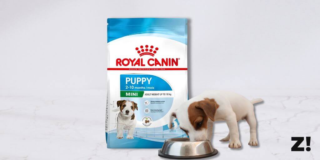Royal Canin Mini puppy. Comprar más barato. Oferta