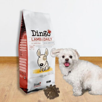 Dingo DOG Lamb & Daily. Comprar más barato. Oferta