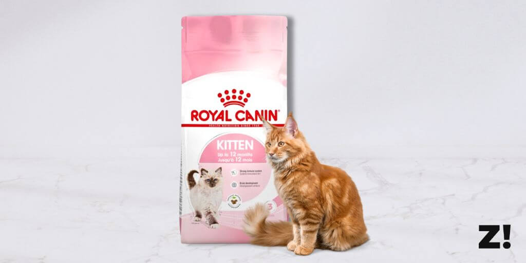 Royal Canin Kitten. Comprar más barato. Oferta