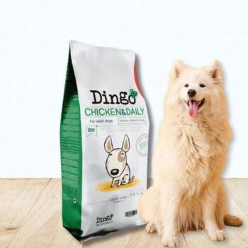 Dingo DOG Chicken & Daily. Comprar más barato. Oferta