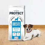 Flatazor Obesite Canine. Comprar más barato. Oferta