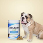 Glandulex Sacs. Comprar más barato. Oferta