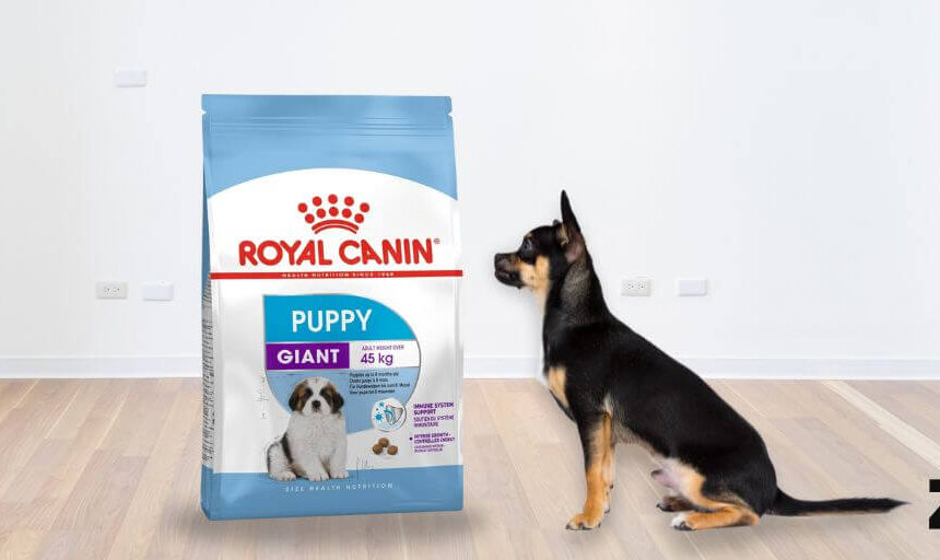 Royal Canin Giant Puppy. Comprar más barato. Oferta