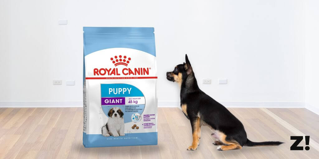 Royal Canin Giant Puppy. Comprar más barato. Oferta