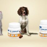Virbac Movoflex Soft Chews. Comprar más barato. Oferta