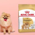 Royal Canin Pomeranian Adult. Comprar más barato. Oferta