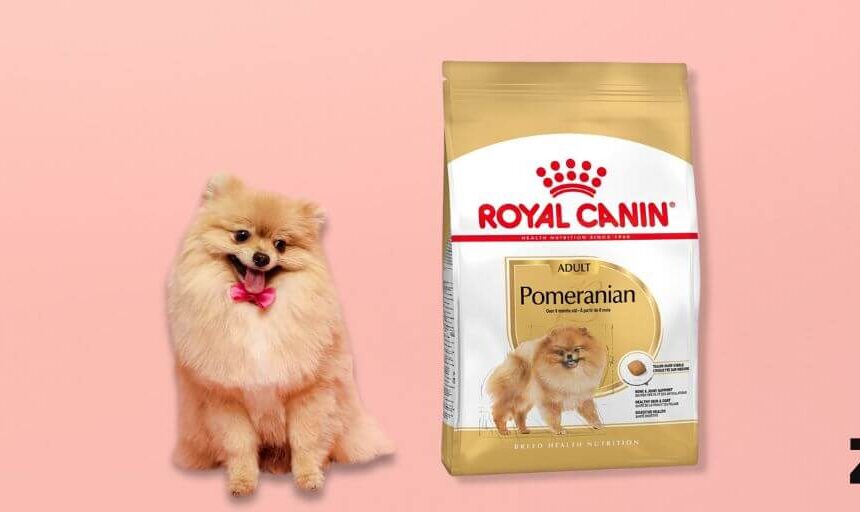 Royal Canin Pomeranian Adult. Comprar más barato. Oferta